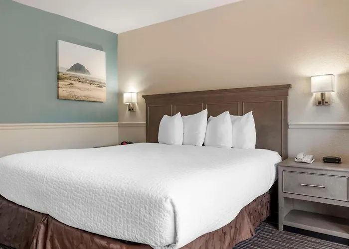 Best Western San Marcos Inn
